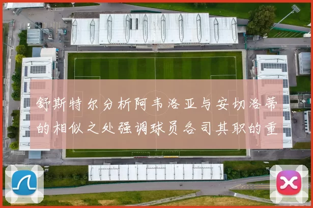 舒斯特尔分析阿韦洛亚与安切洛蒂的相似之处强调球员各司其职的重要性